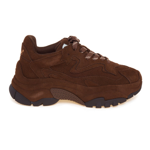 Sneaker ASH Addict in camoscio